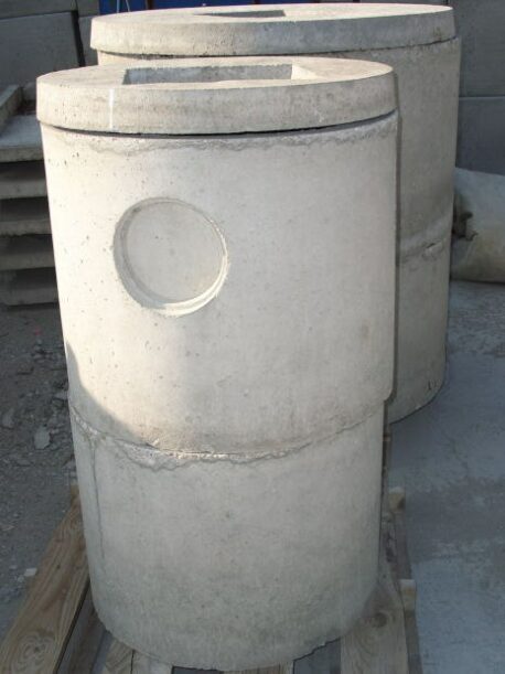 Biologica in cemento