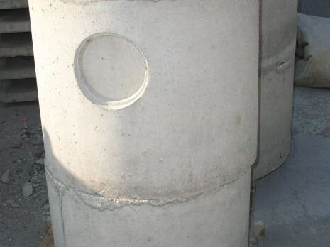 Biologica in cemento